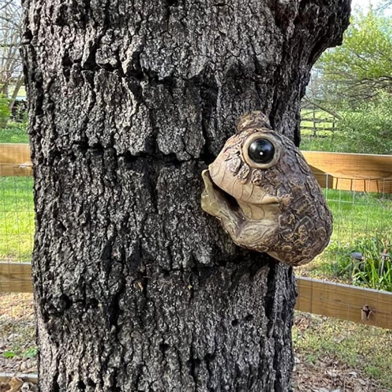 Adorable Frog Tree Peeker