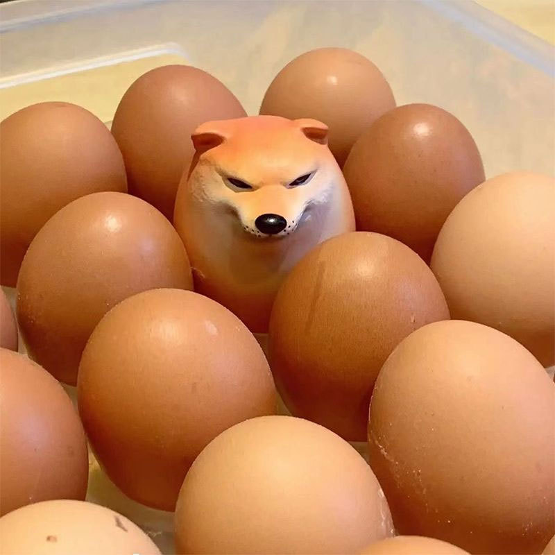 Shibako Dog Egg