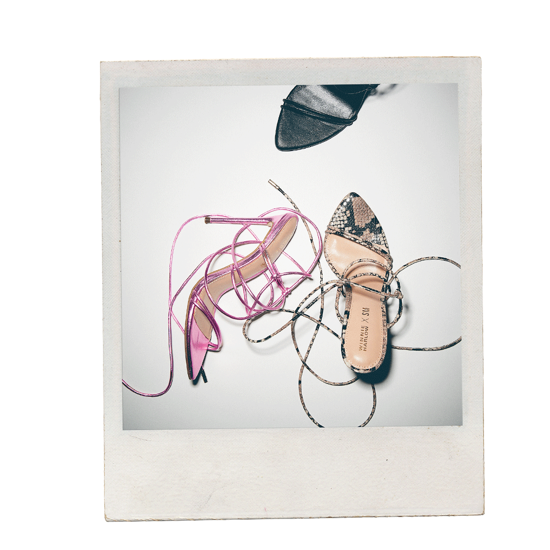 BADGIRL BEIGE SNAKE - SM REBOOTED-Cool A Warm