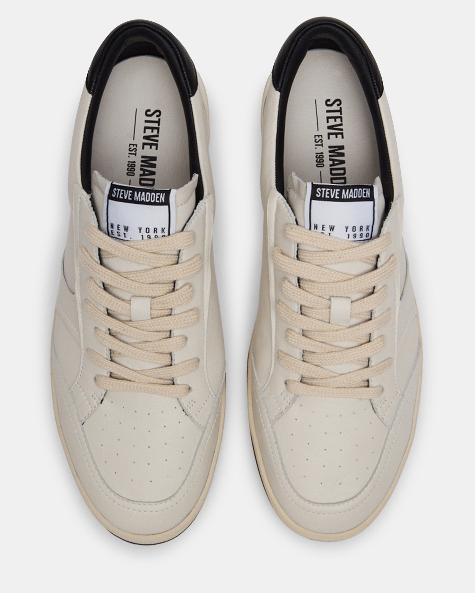 PRISMO BLACK MULTI-Cool A Warm