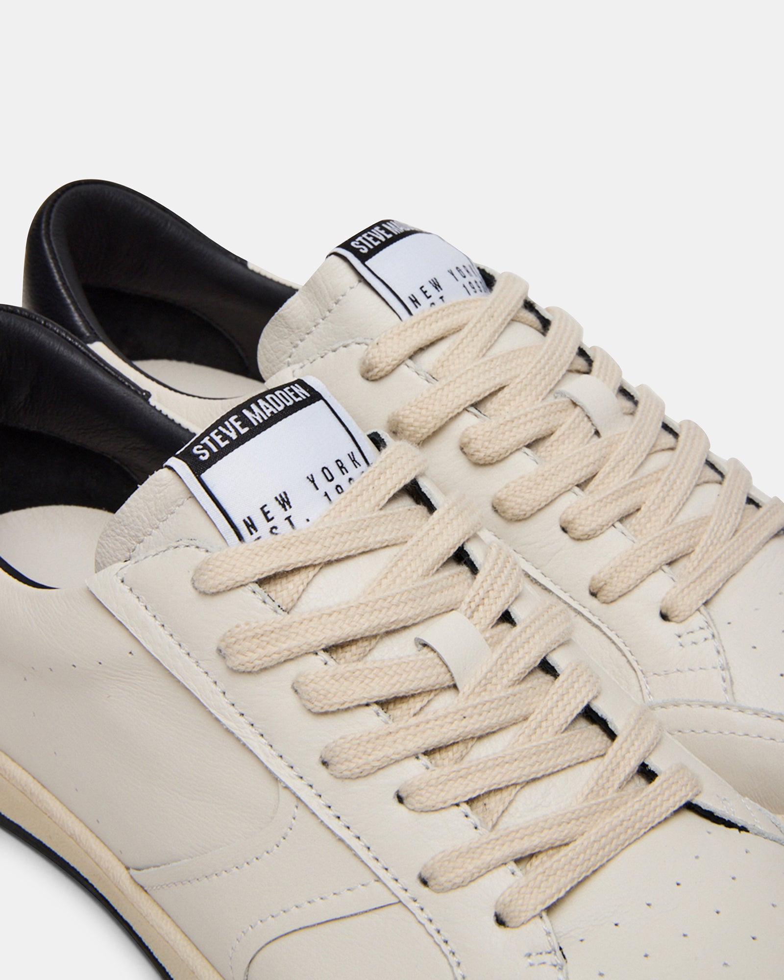 PRISMO BLACK MULTI-Cool A Warm