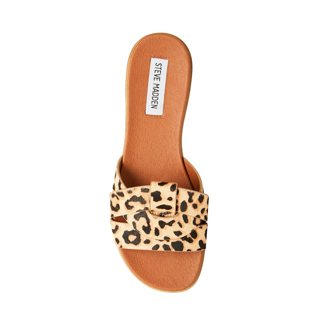 VIVIEN LEOPARD - SM REBOOTED-Cool A Warm