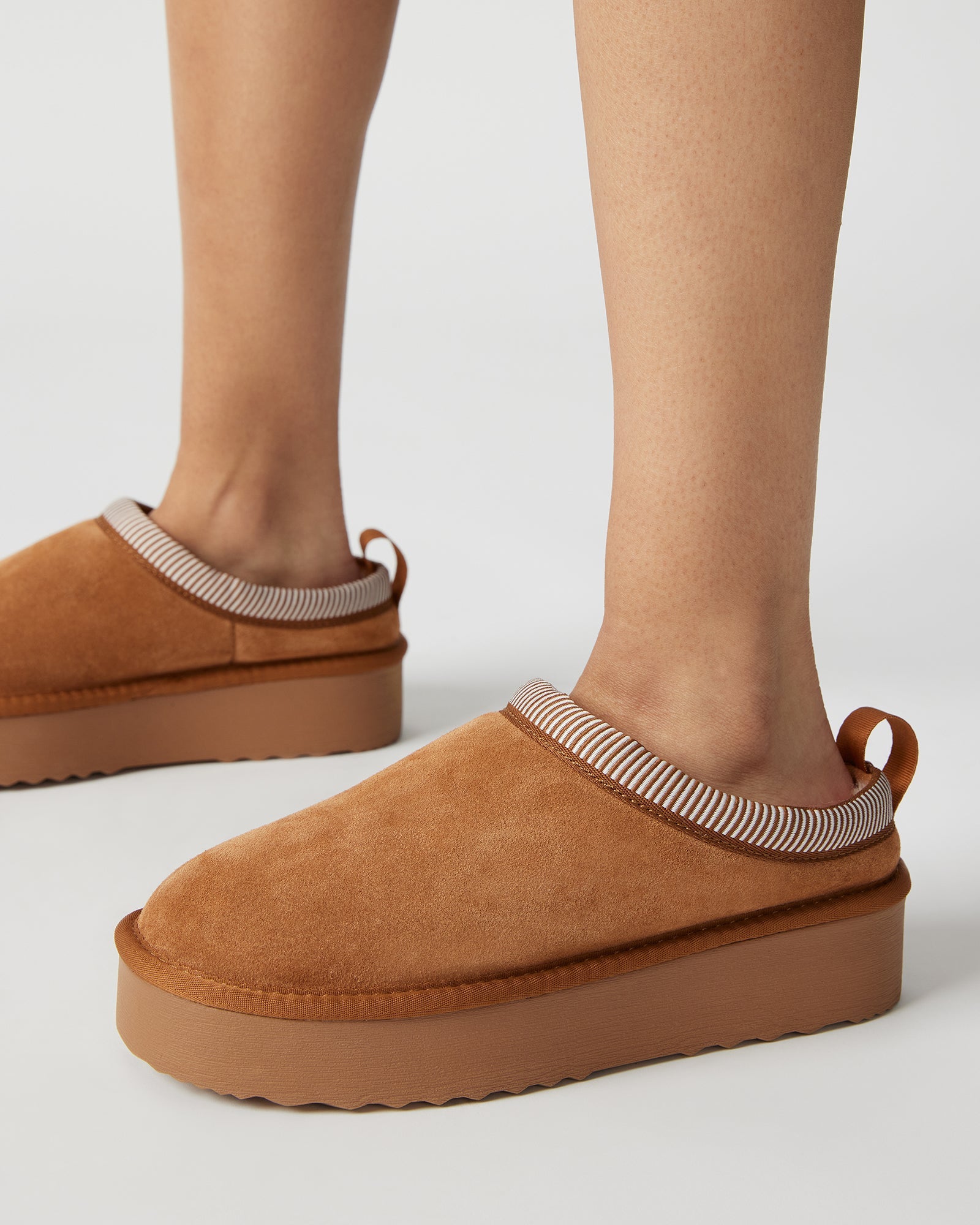 CODIE CHESTNUT SUEDE - SM REBOOTED-Cool A Warm