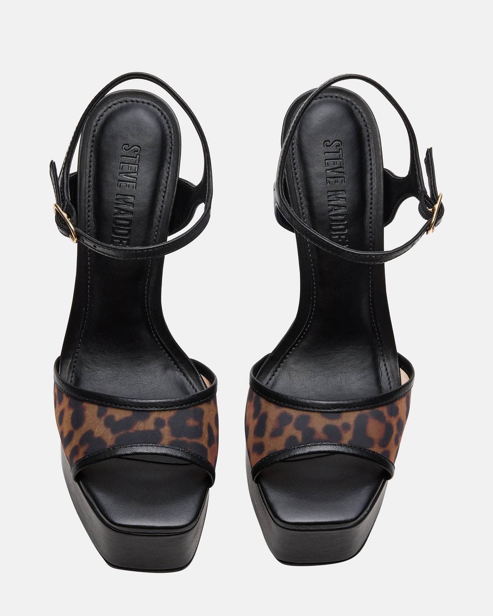 COLOGNE LEOPARD MULTI-Cool A Warm