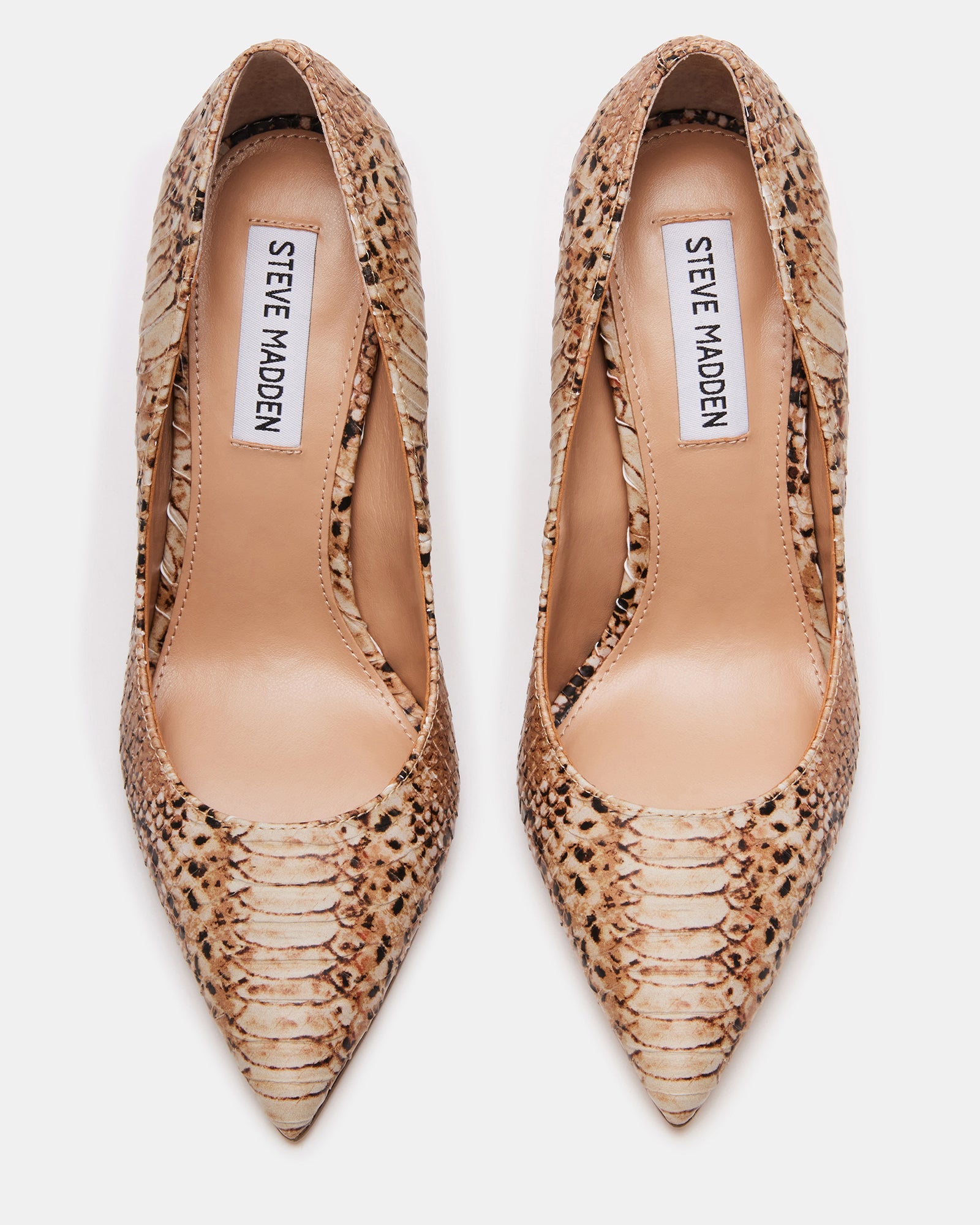 EVELYN BEIGE SNAKE - SM REBOOTED-Cool A Warm