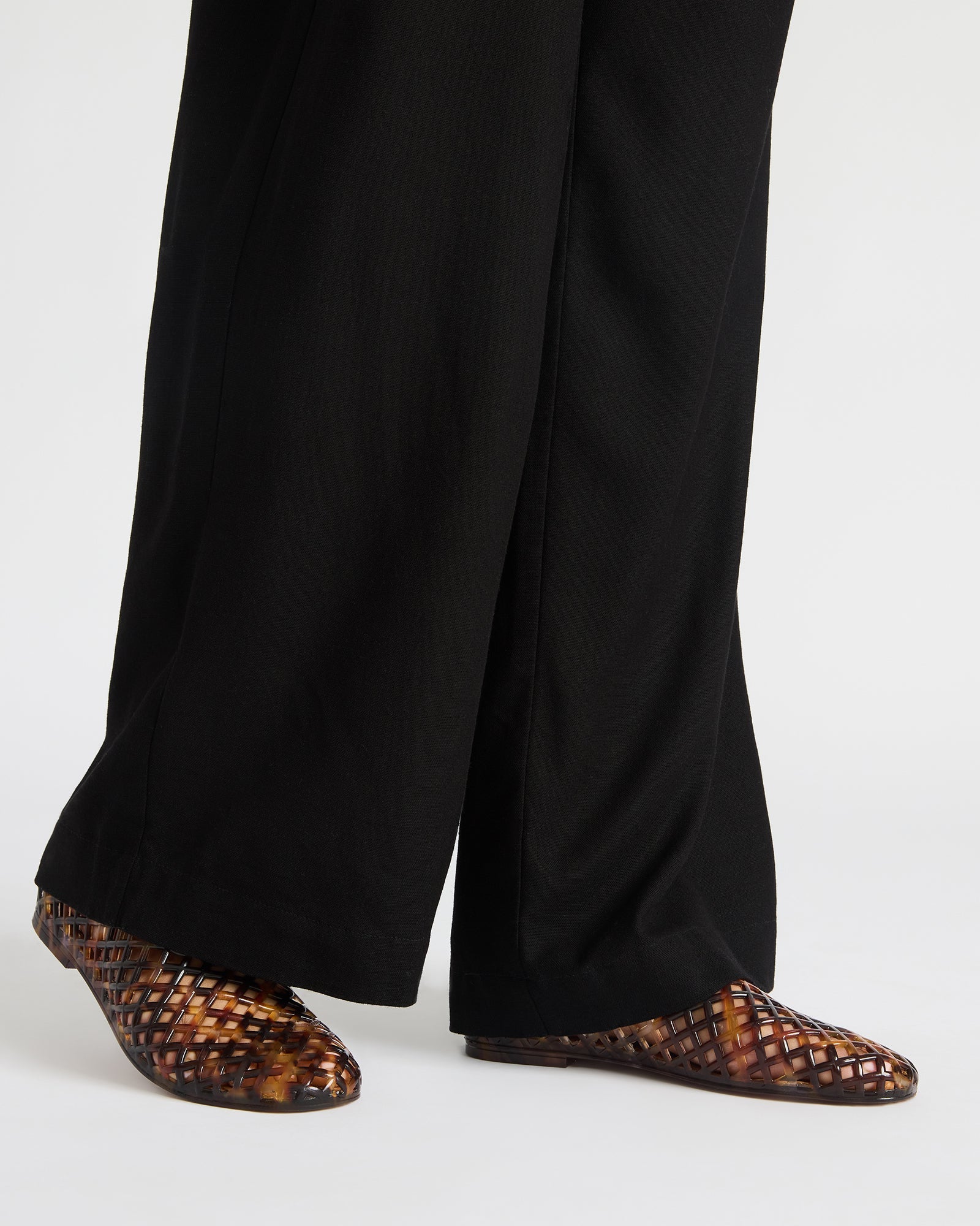 GROVE TORTOISE-Cool A Warm