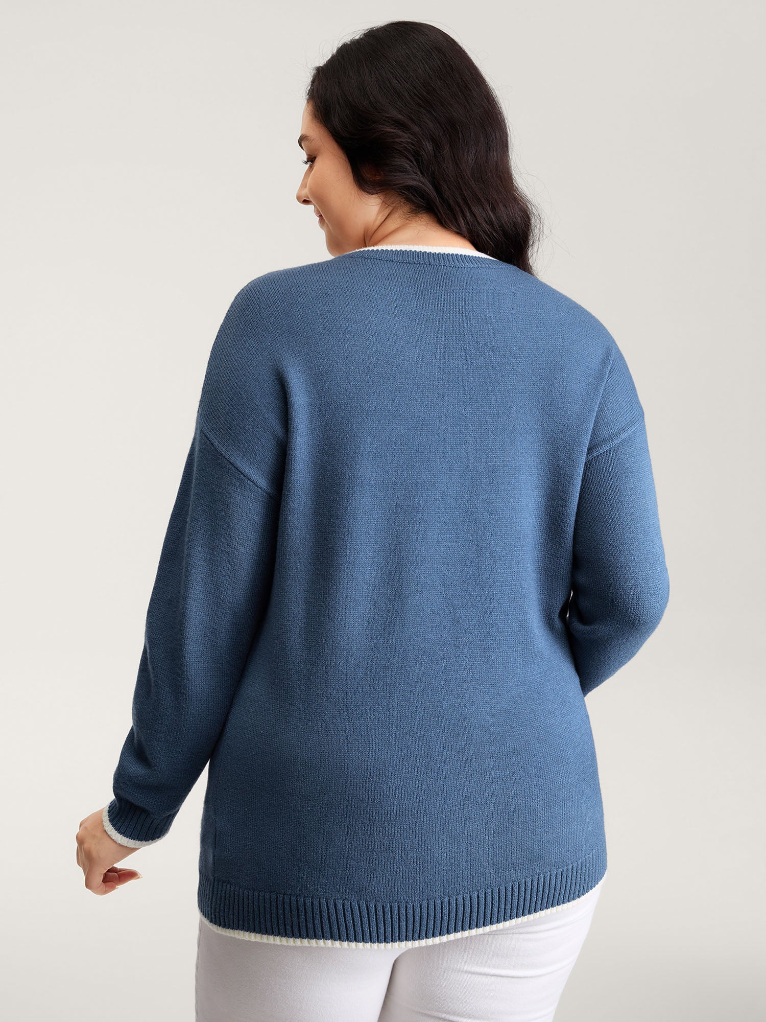 Swan Jacquard Pattern Color Contrast Pullover-Sweetccc