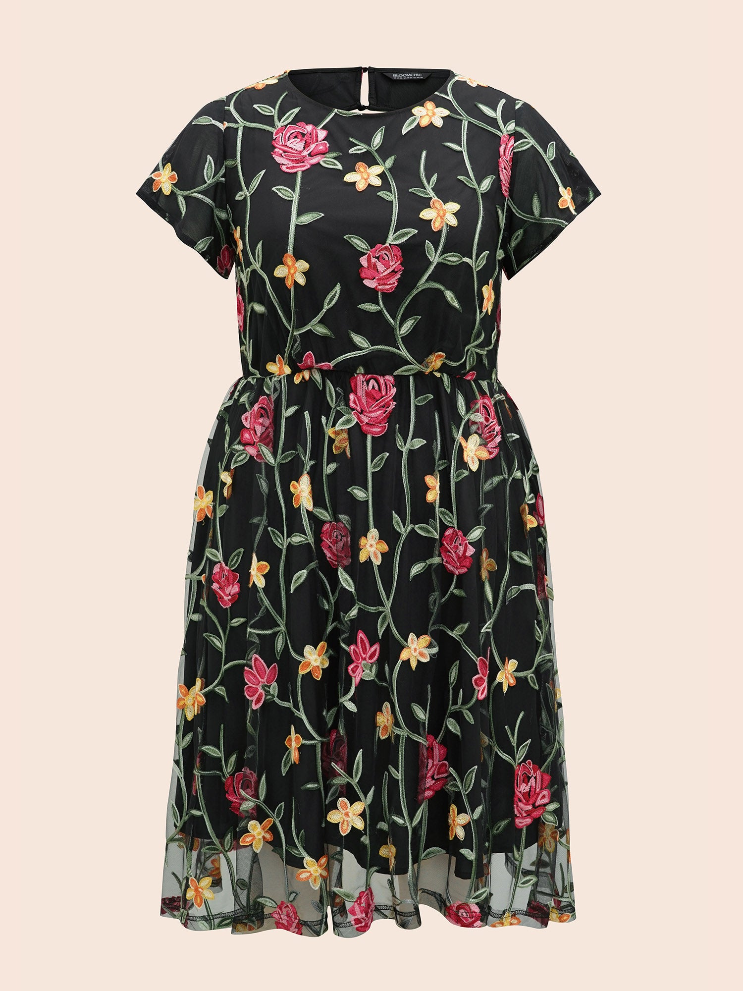 Floral Embroidered Mesh Backless Dress-Sweetccc