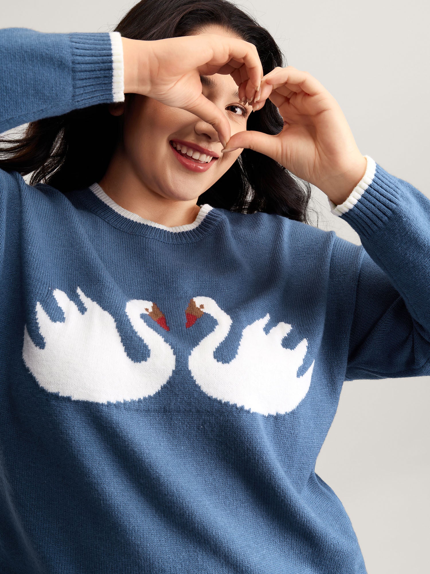 Swan Jacquard Pattern Color Contrast Pullover-Sweetccc