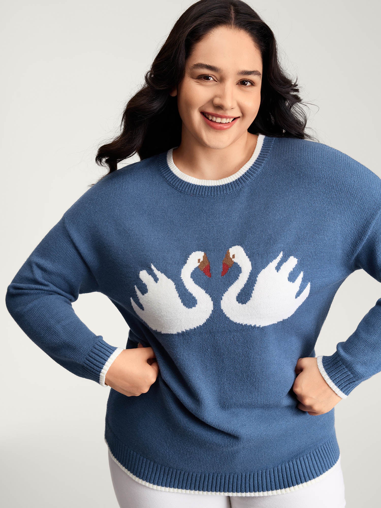 Swan Jacquard Pattern Color Contrast Pullover-Sweetccc