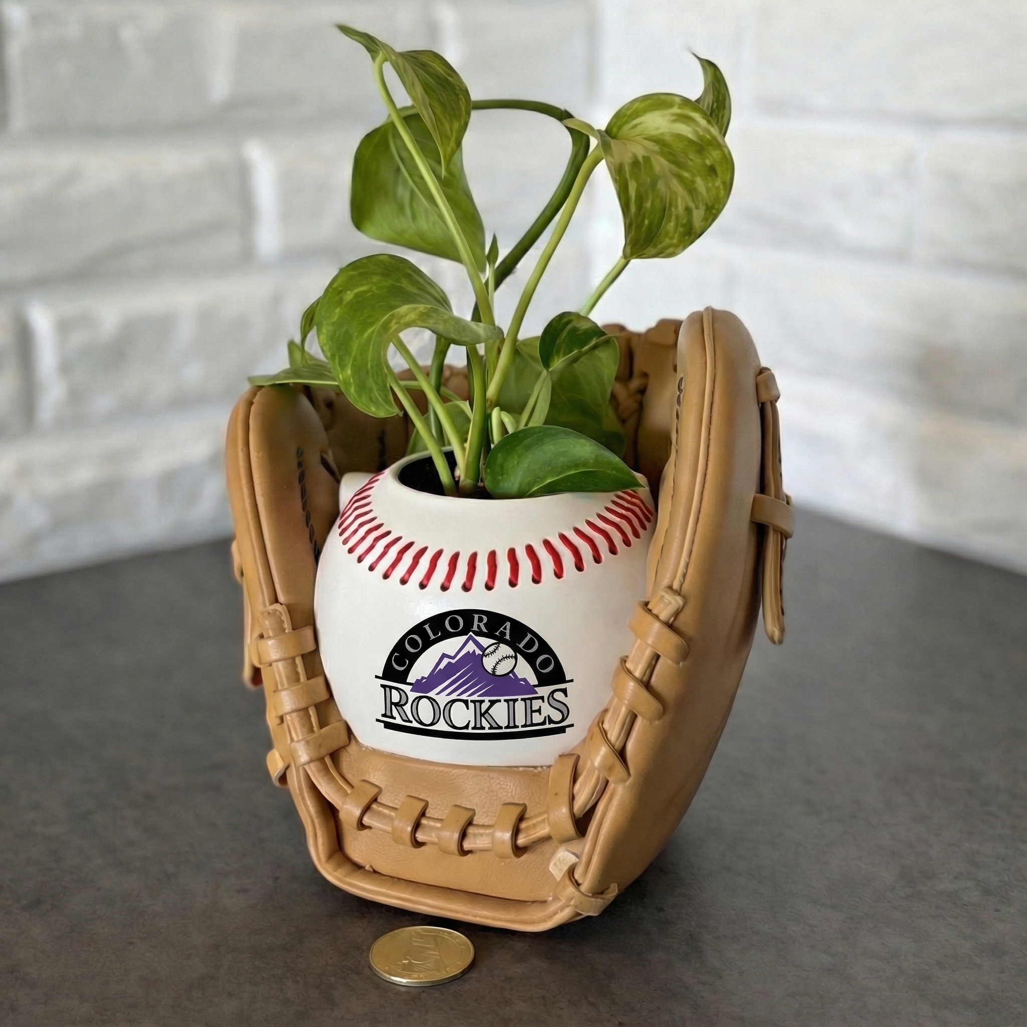 ⏰Limited Time Sale -⚾Baseball Team Glove Planter