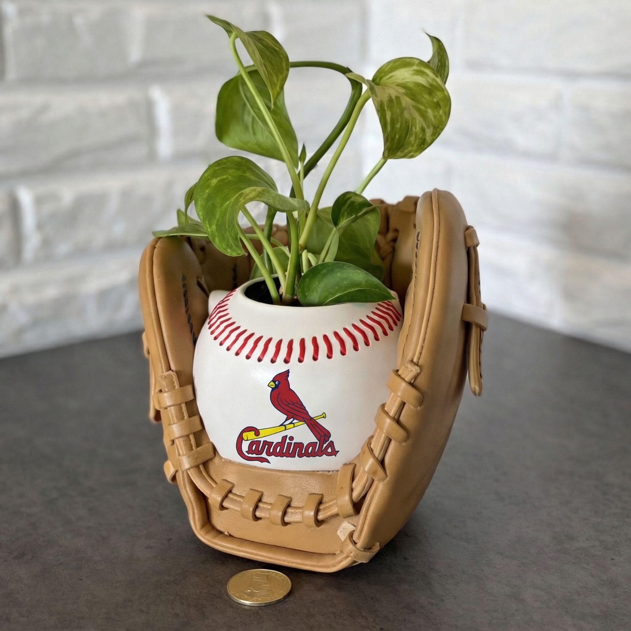 ⏰Limited Time Sale -⚾Baseball Team Glove Planter