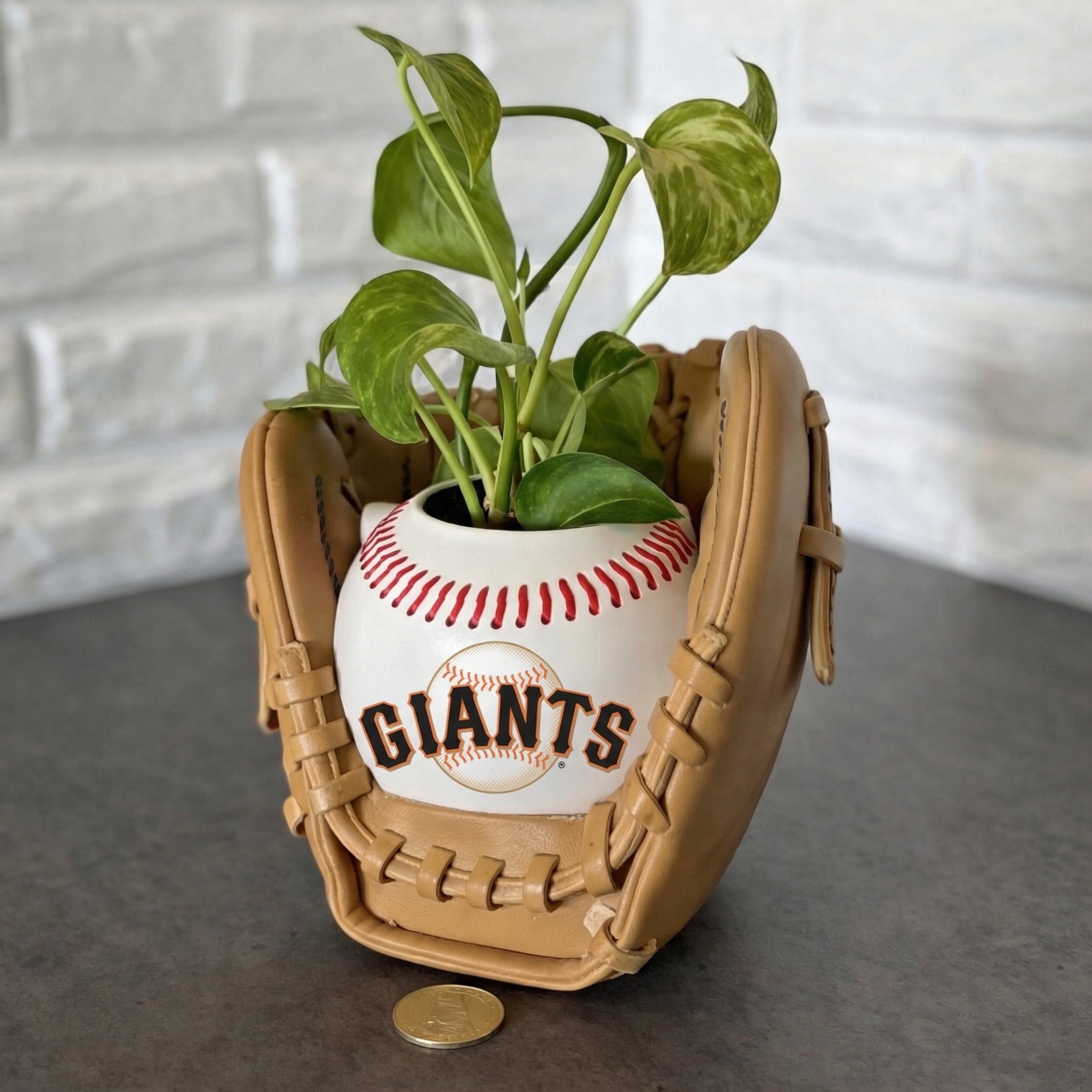 ⏰Limited Time Sale -⚾Baseball Team Glove Planter