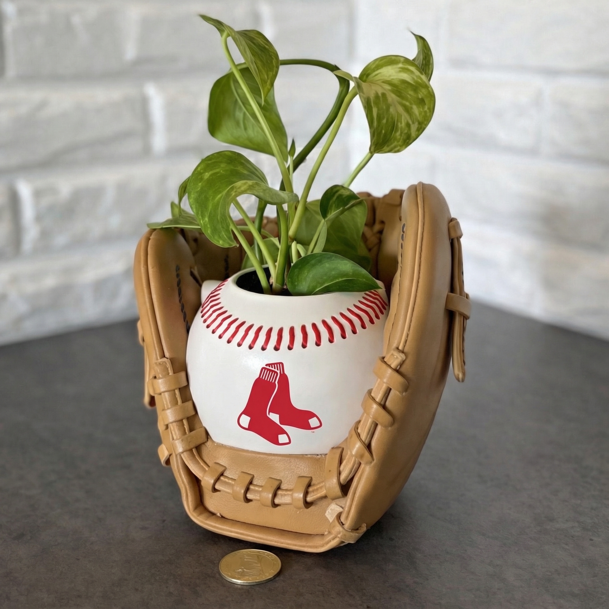 ⏰Limited Time Sale -⚾Baseball Team Glove Planter