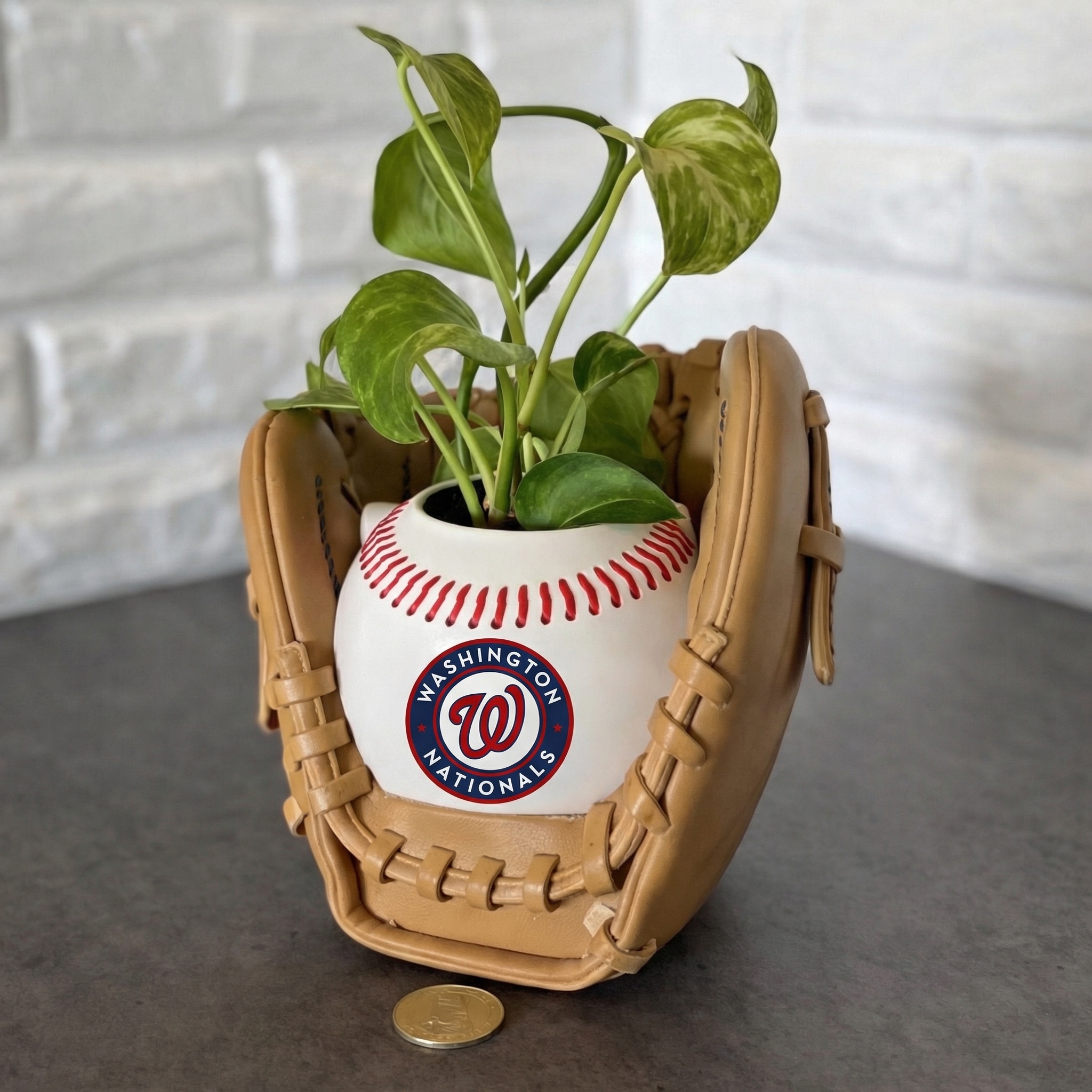 ⏰Limited Time Sale -⚾Baseball Team Glove Planter