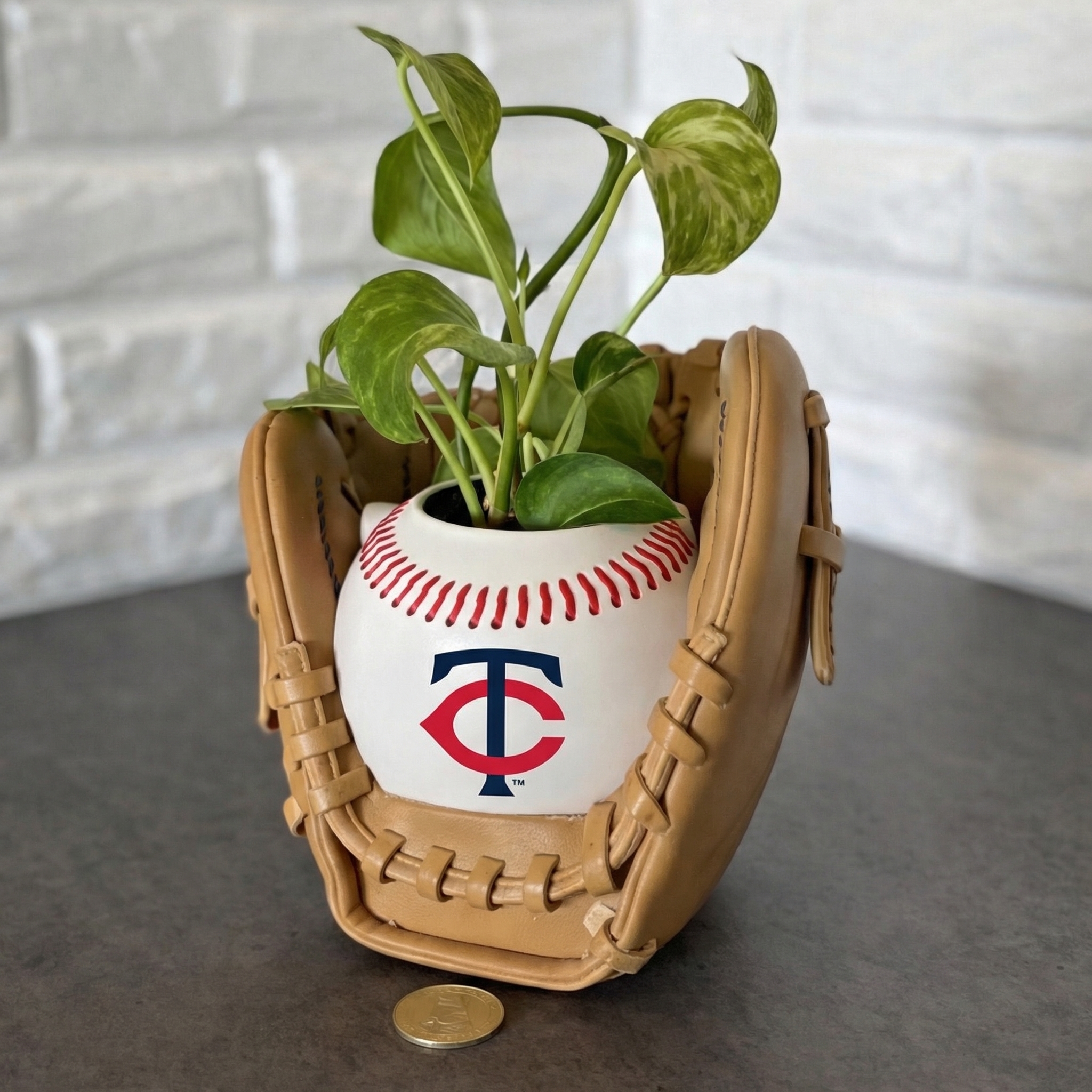 ⏰Limited Time Sale -⚾Baseball Team Glove Planter