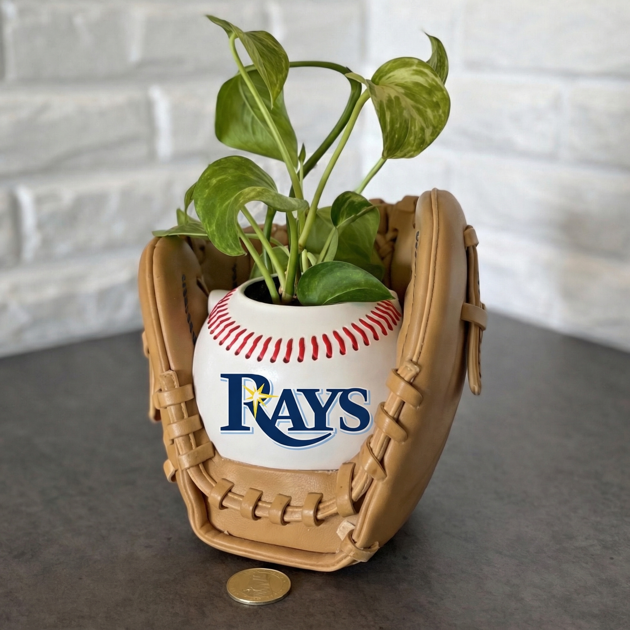 ⏰Limited Time Sale -⚾Baseball Team Glove Planter