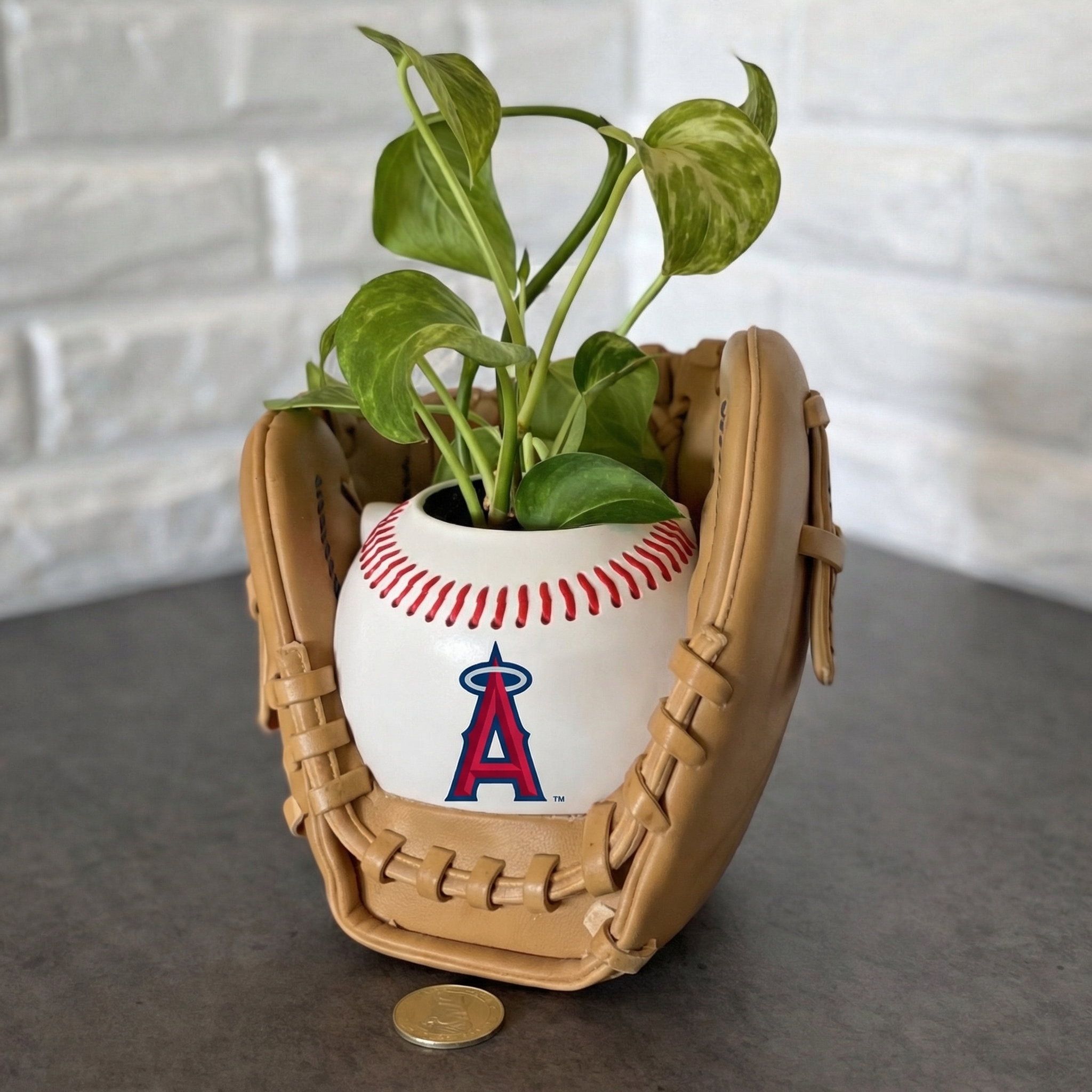 ⏰Limited Time Sale -⚾Baseball Team Glove Planter