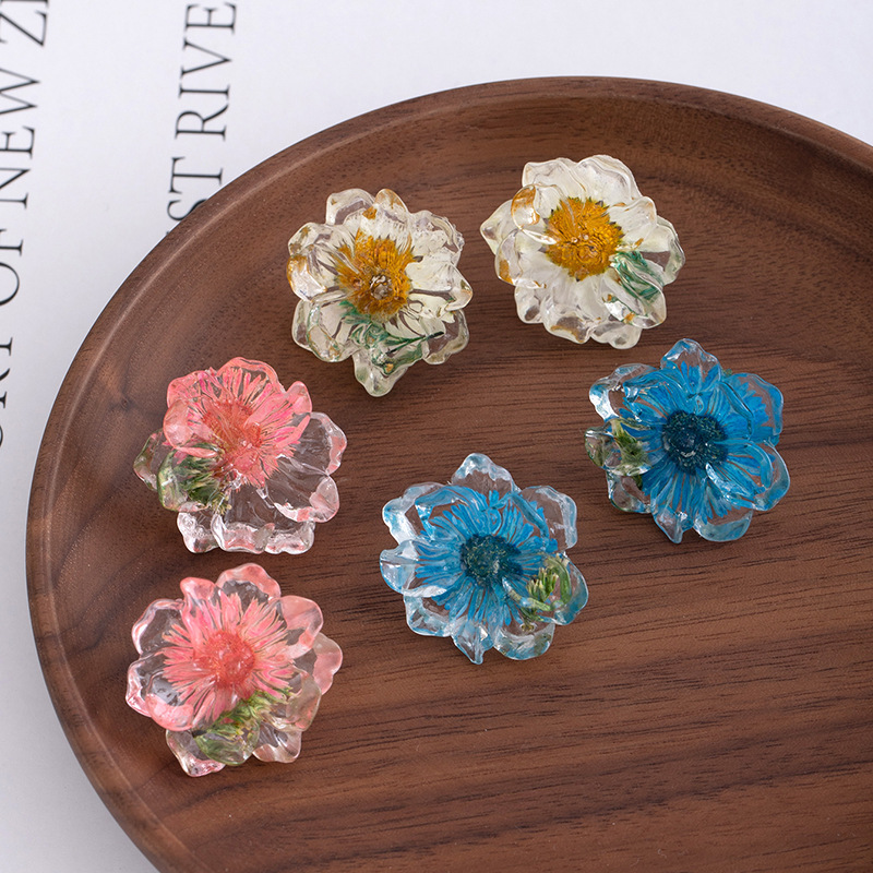 Small and fresh dried flower daisy resin earrings