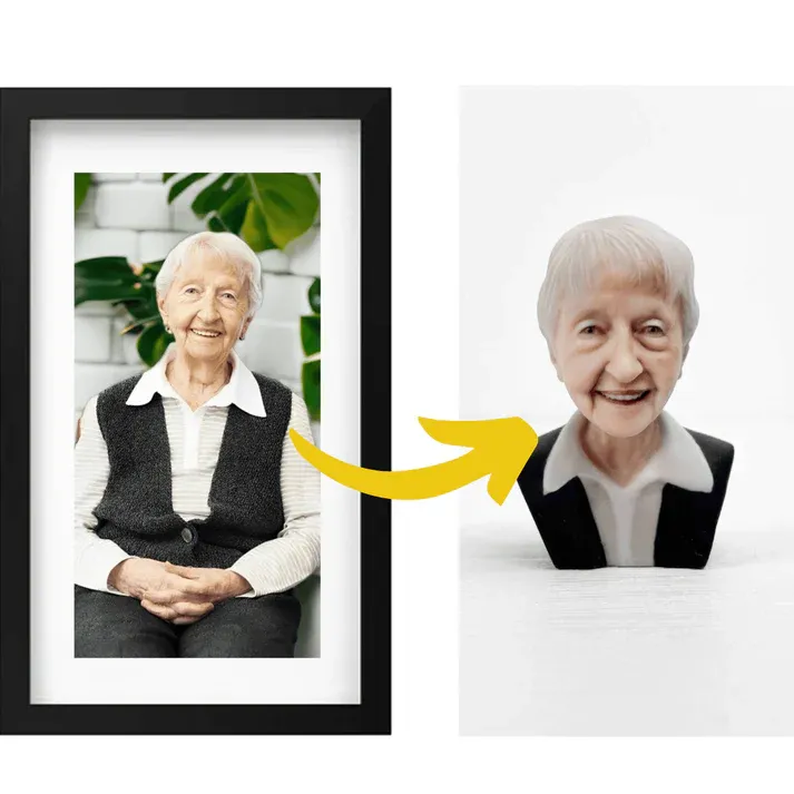 MemoPortrait