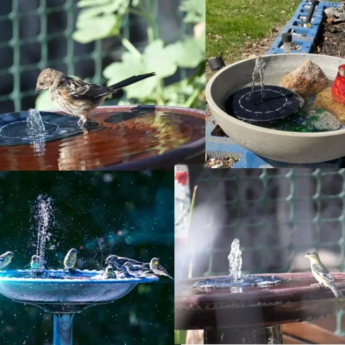 🌞Solar Fountain💧 – Solar Powered Bird Bath Pump, 1.4W Panel, 4 Nozzles