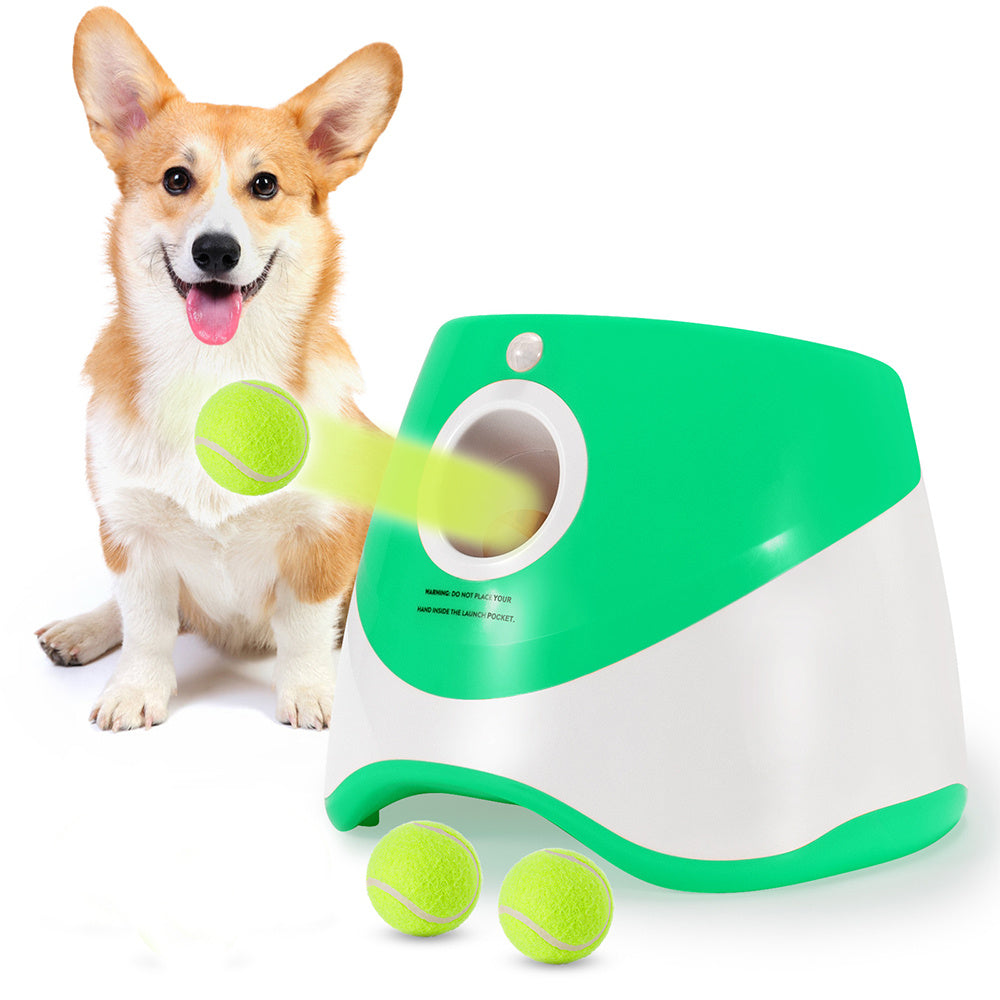 Automatic Dog Ball Launcher