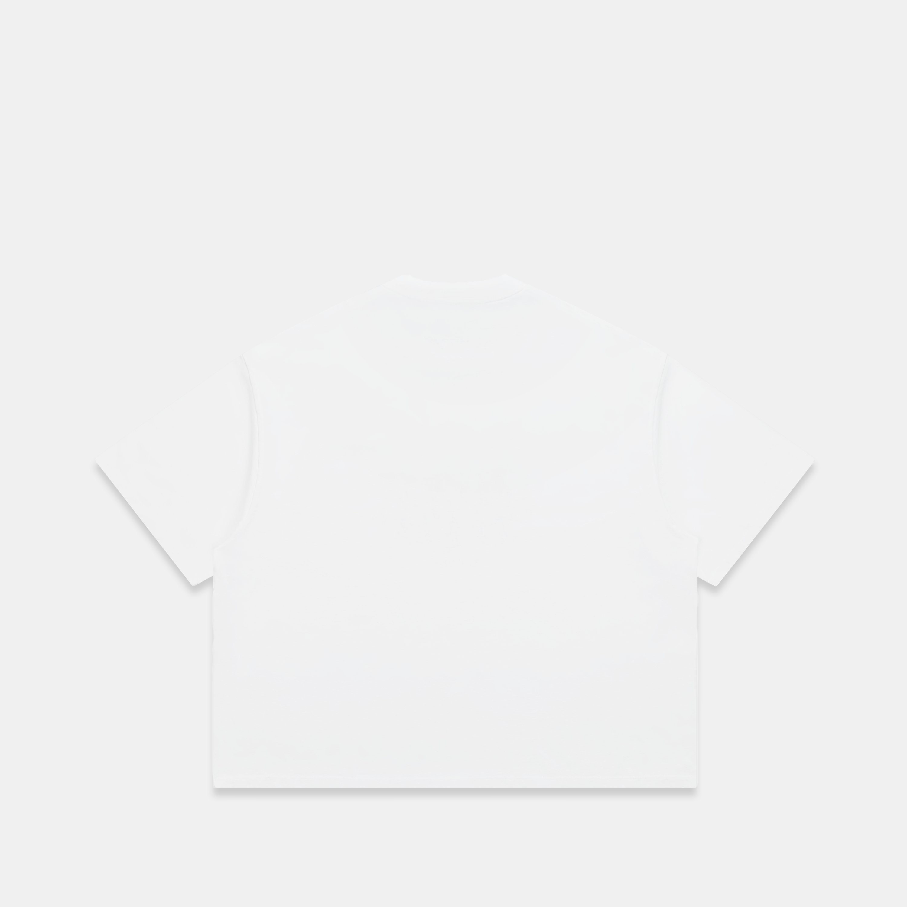 Winter1 / Ski Club Tee - White