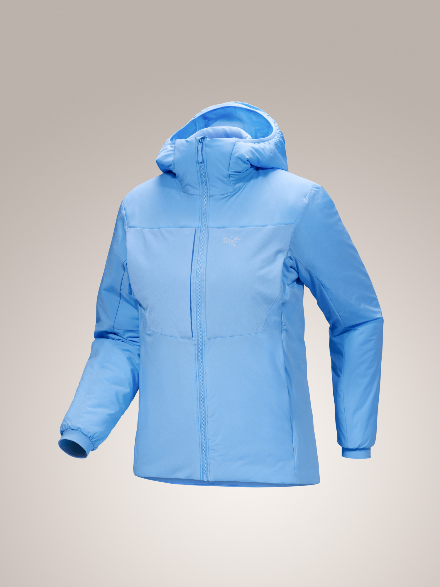 Proton Heavyweight Hoody Women's-OSI