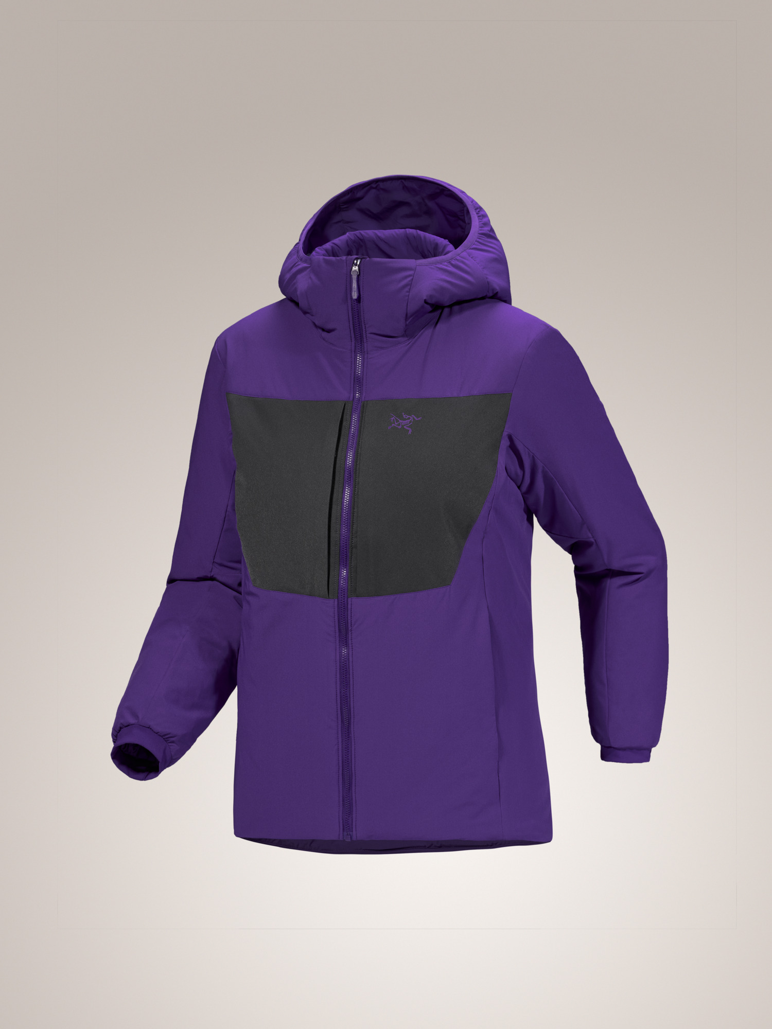 Proton Heavyweight Hoody Women's-OSI