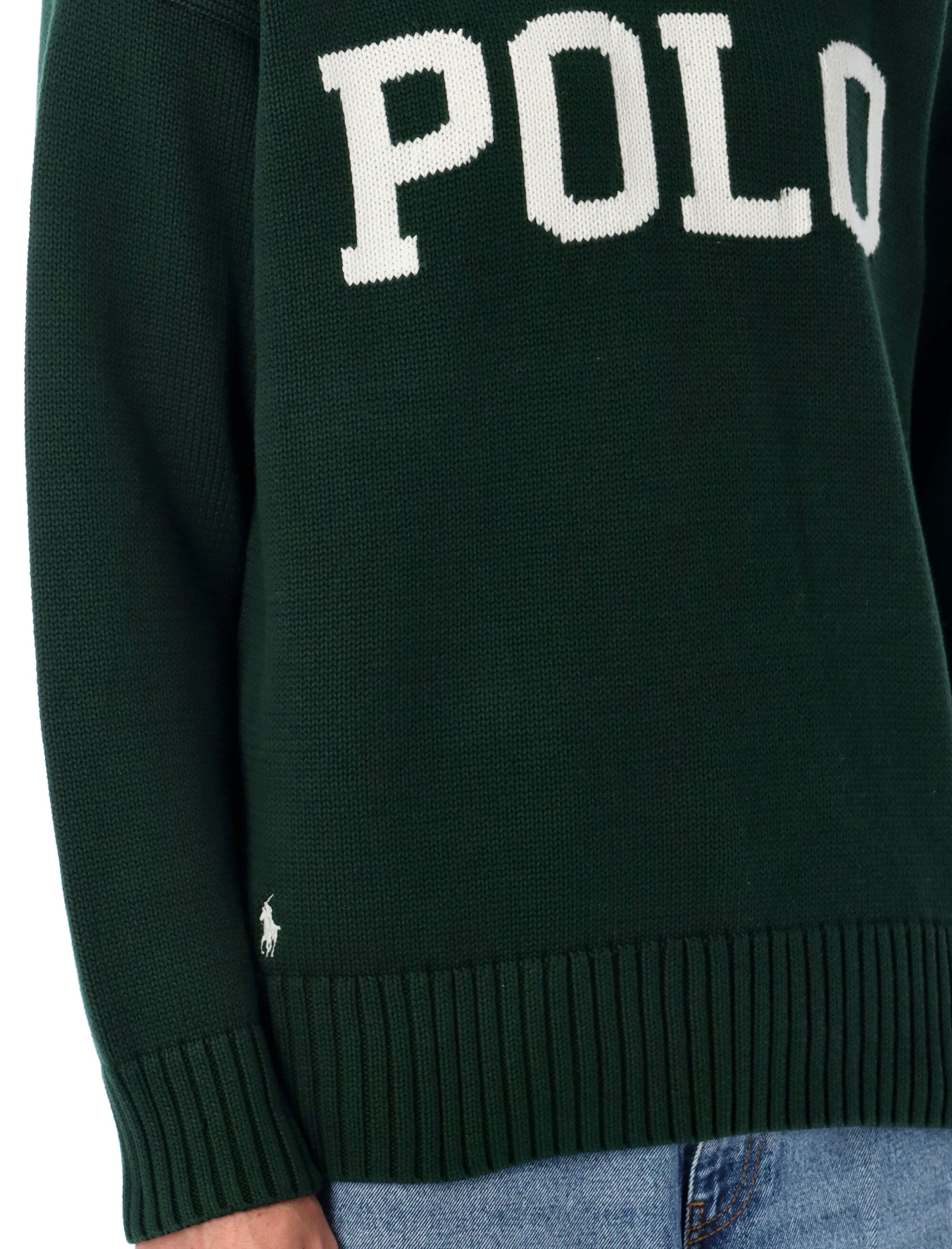 POLO  Big Fit Logo Cotton Jumper-OSI