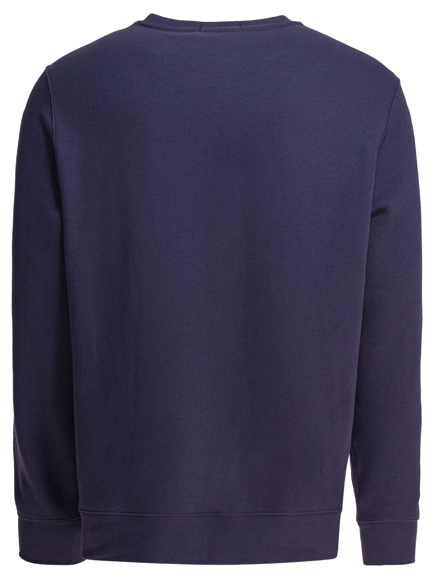 POLO  Polo Bear Sweatshirt - Regular Fit, Long Sleeves-OSI