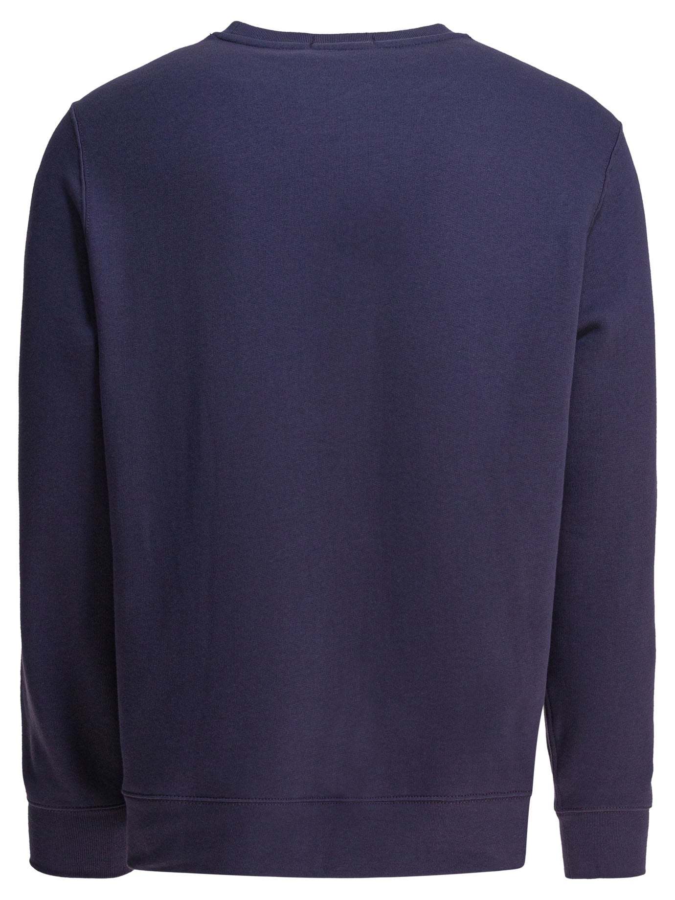 POLO  Polo Bear Sweatshirt - Regular Fit, Long Sleeves-OSI