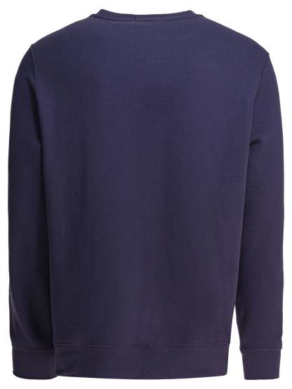 POLO  Polo Bear Sweatshirt - Regular Fit, Long Sleeves-OSI