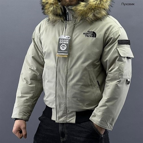 THE NORTH FACEPolar Air Down Jacket-OSI