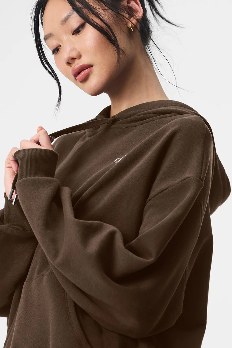 Accolade Hoodie（Brown）-OSI