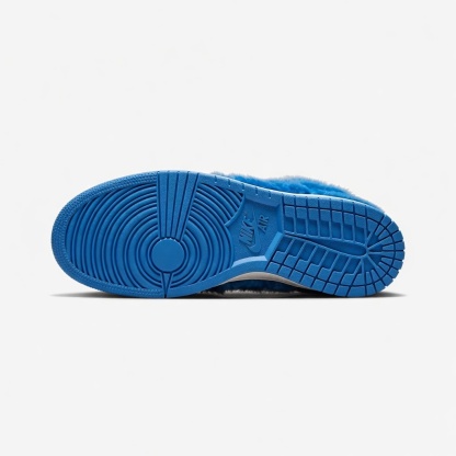 Dunk Low Stitch