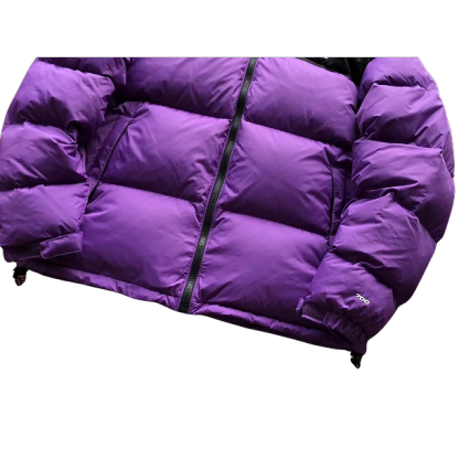 The North Face Jacket Purple