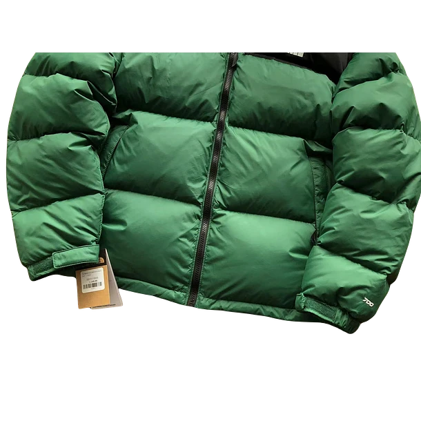 The North Face Jacket Green