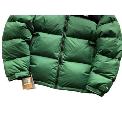 The North Face Jacket Green