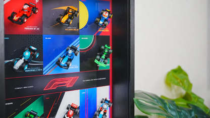™ Show Case for F1 Collectible Race Cars Plus(71049)