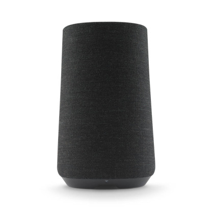 Loa Harman Kardon citation 100