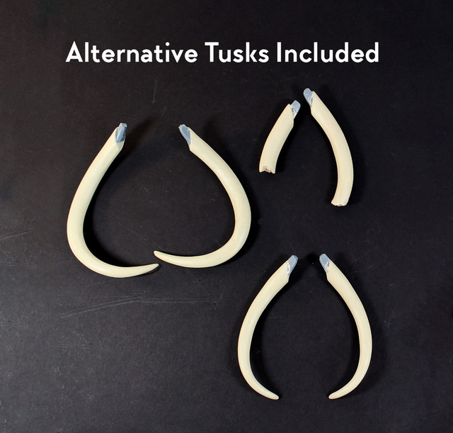 Wooly Mammoth (Mammuthus primigenius) – 1/18th scale action figure