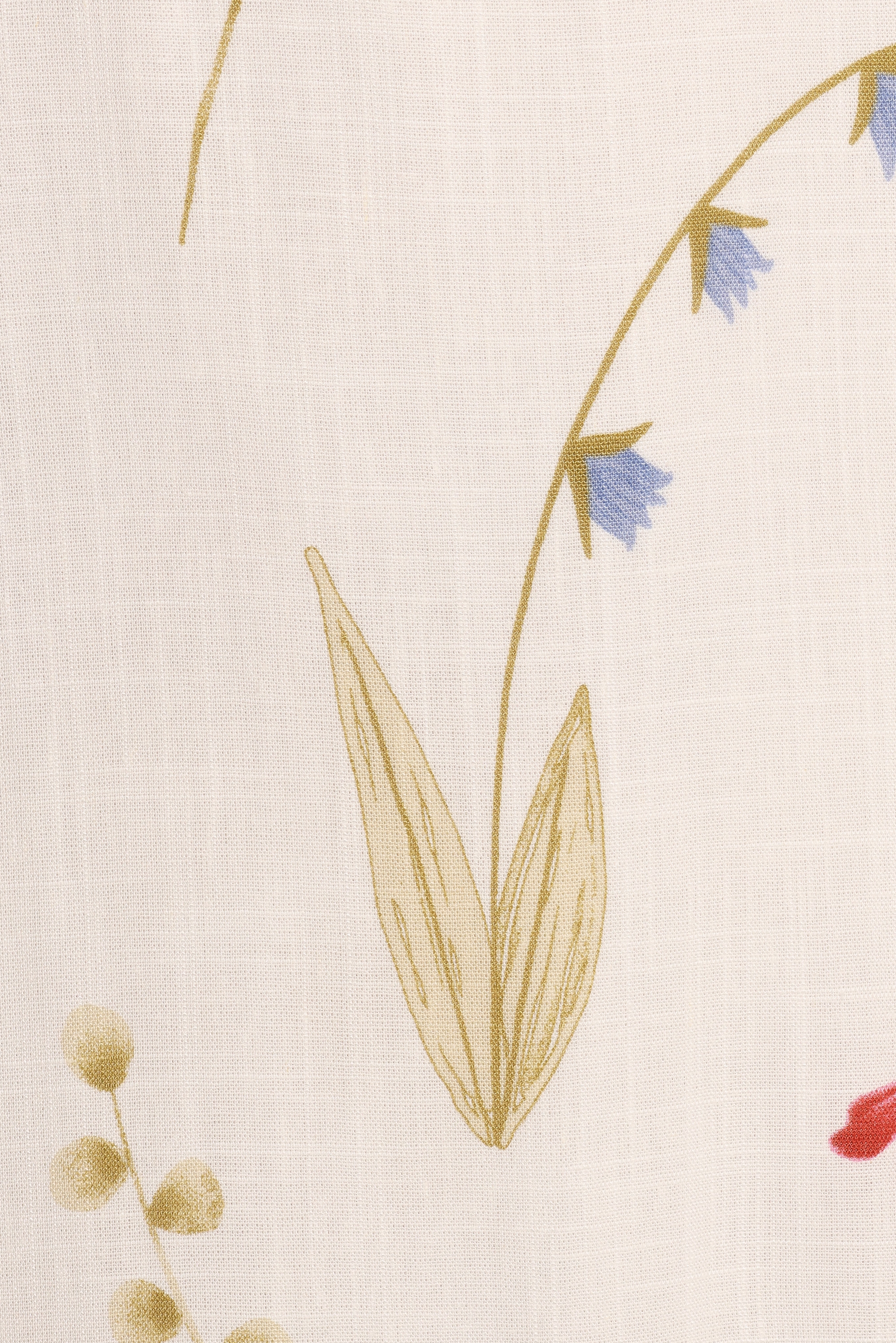 Jasinta Maxi Dress - Ditsy Floral-Ladys Street