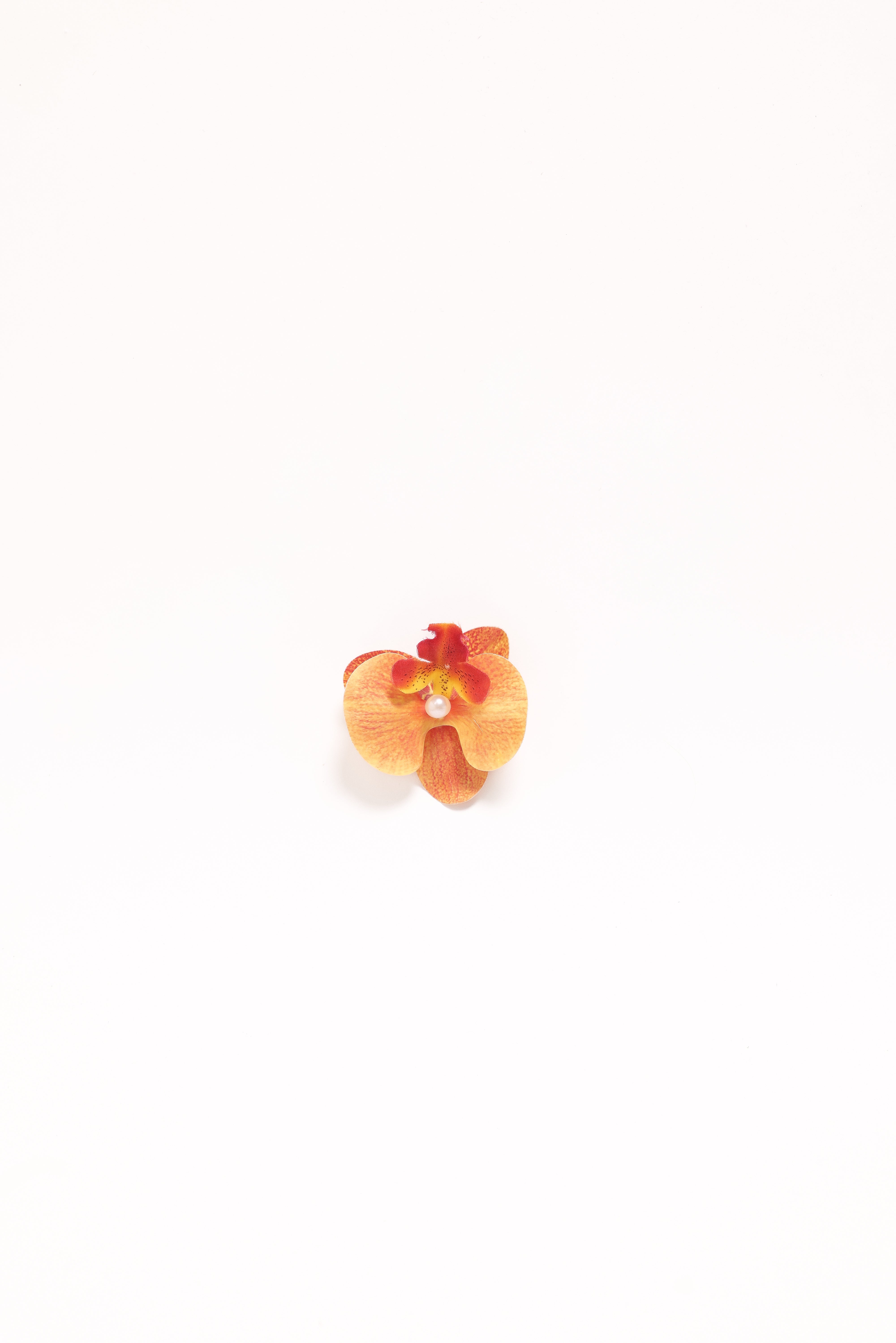 Leila Orchid Hair Clip - Orange-Ladys Street