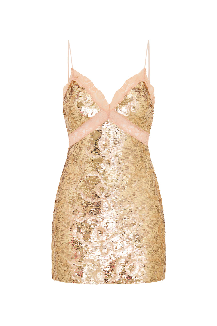 Finta Sequin Mini Dress-Charming Rule