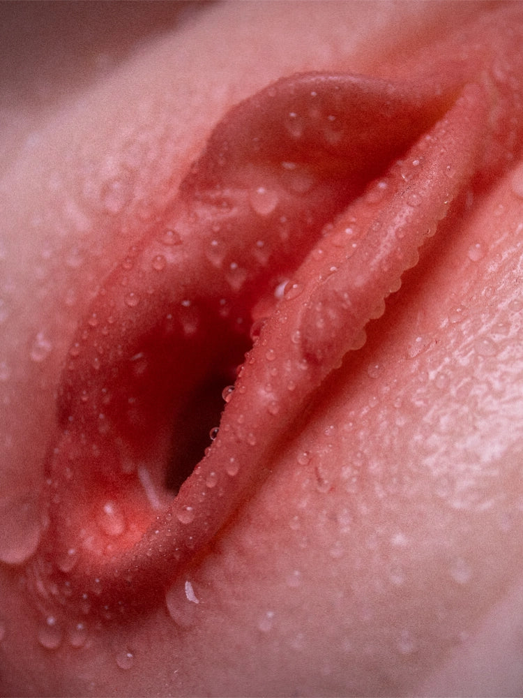 65.52LB Savannah Lifelike Silicone Sex Doll with Slim Body| LoveNestle Series