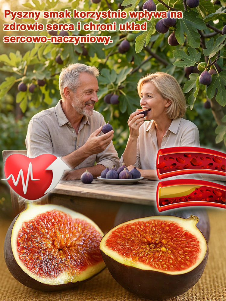 Przetrwają nawet polską zimę! Mrozoodporna odmiana figi, która owocuje przez cały rok ❄️💜Fioletowe klejnoty na wyciągnięcie ręki! Twoja domowa apteka i duma ogrodu w jednym 🇵🇱🍓Wyhoduj własne, soczyste owoce w ogrodzie 🌿🍯