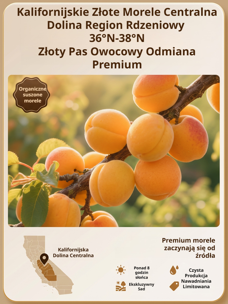 Wysokiej jakości suszone morele się nie sprzedają! Rolnicy są zmuszeni sprzedawać je online.🍑🍑【Słodkie i miękkie】Suszone morele bez pestek, bez dodatków