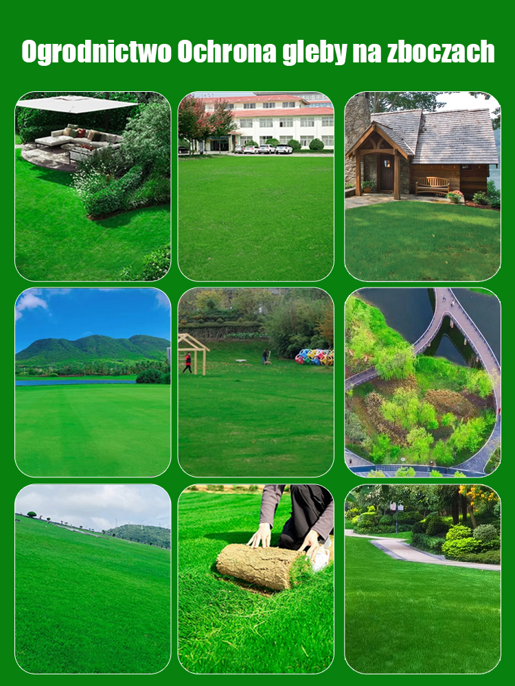 🔥【Sprzedaż przekroczyła 350 000+】🌱Kiełkuje w 7 dni, w miesiąc tworzy gęsty, zielony trawnik，❄️Odporny na zimno, zimozielony，Odstrasza owady i komary, oczyszcza powietrze!