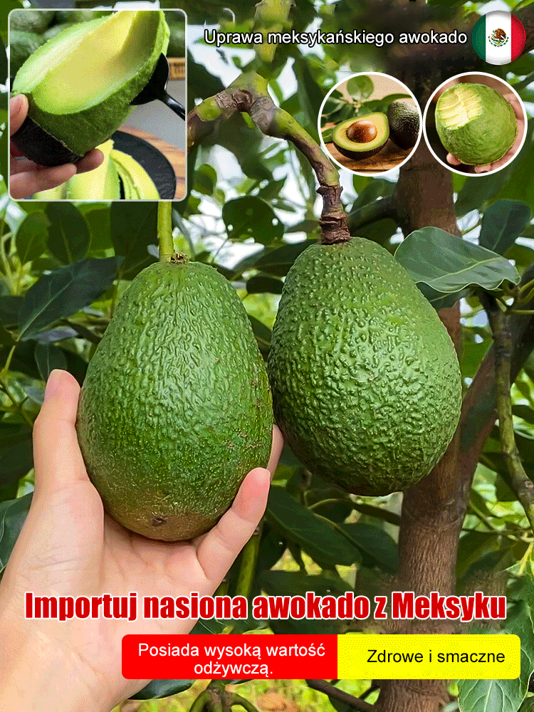🥑W 100% ekologiczne, Kremowa konsystencja, orzechowy aromat – jak z greckiej Krety. 